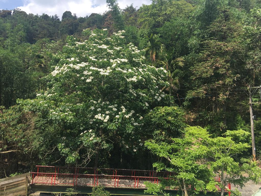 Dingdai Cherry Blossoms Resort Nantou Exterior photo